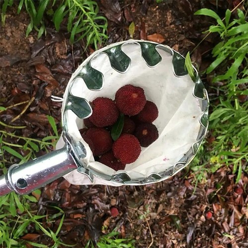 1pc fruit picker tool garden - 1pc,