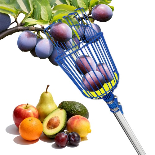 Fruit picker upgraded - fruit,